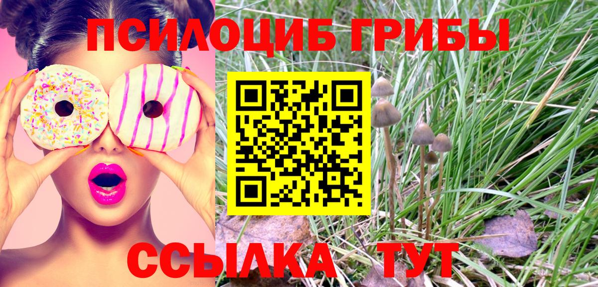 Галлюциногенные грибы мицелий Учалы