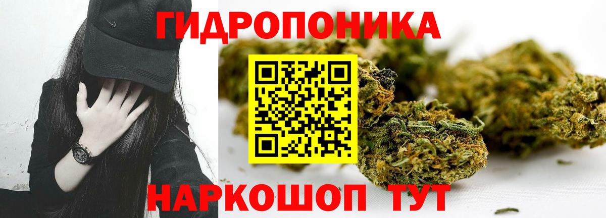 Марихуана конопля Учалы